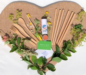 festival essentials kit