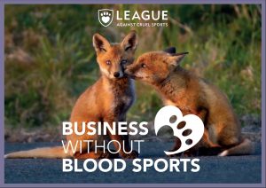 business without blood sports logo and two baby foxes